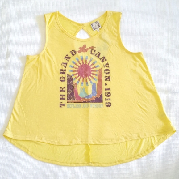 TRU Self "The Grand Canyon 1919" Swing Tank - Picture 13 of 13